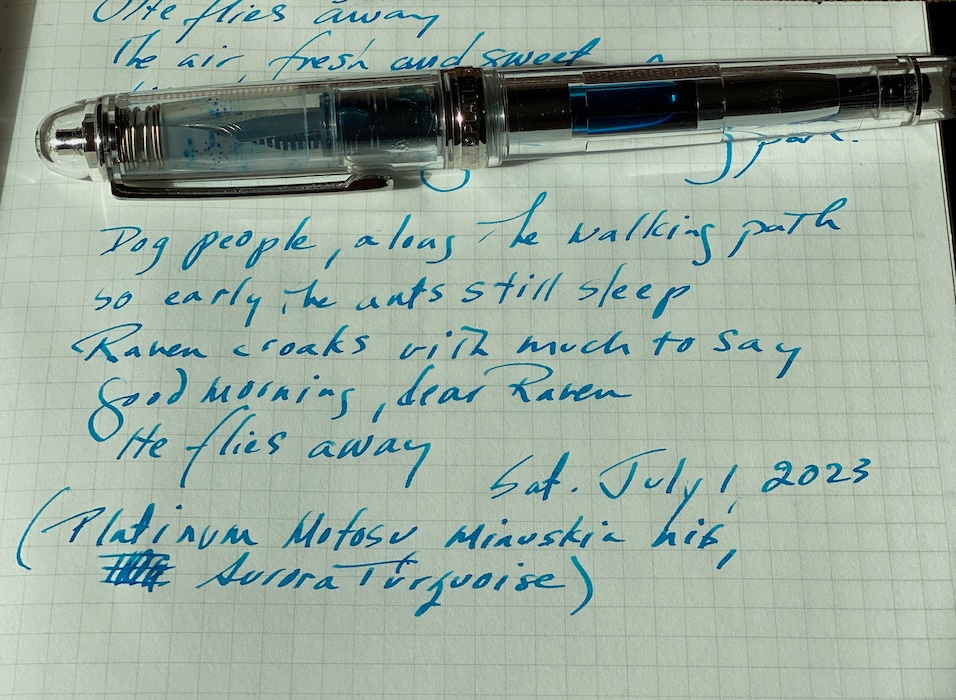 Platinum Motosu #3776 clear acrylic fountain pen inked with Aurora Turquoise ink Alt text